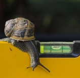 un-caracol-de-nivel-guillermo-castuera-manzano