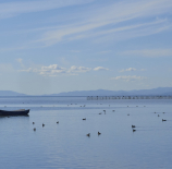 Delta-del-Ebro-Isabel-Sancho-Avello