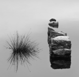 Dias-de-niebla-Jesus-Ayllon-Morales